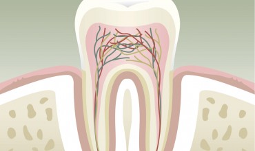 Endodonti